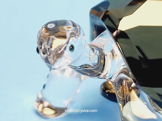 2010 EVENT PIECE – GALAPAGOS TORTOISE 995036