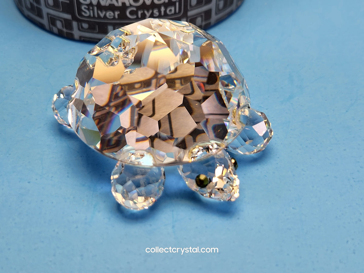 TURTLE / TORTOISE LARGE 010037