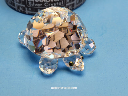 TURTLE / TORTOISE LARGE 010037