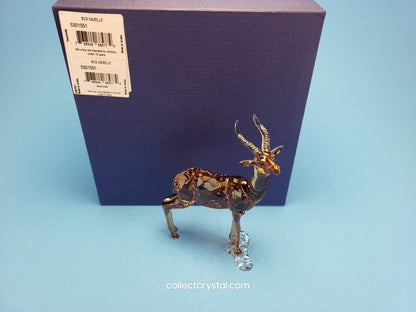 GAZELLE 5301551