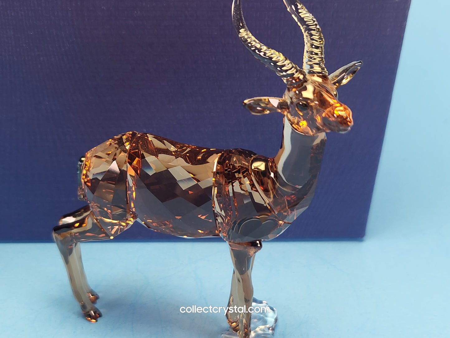 GAZELLE 5301551