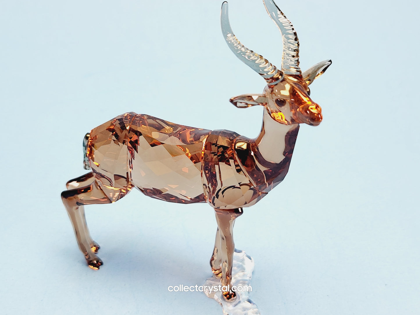 GAZELLE 5301551