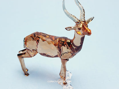 GAZELLE 5301551