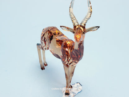 GAZELLE 5301551