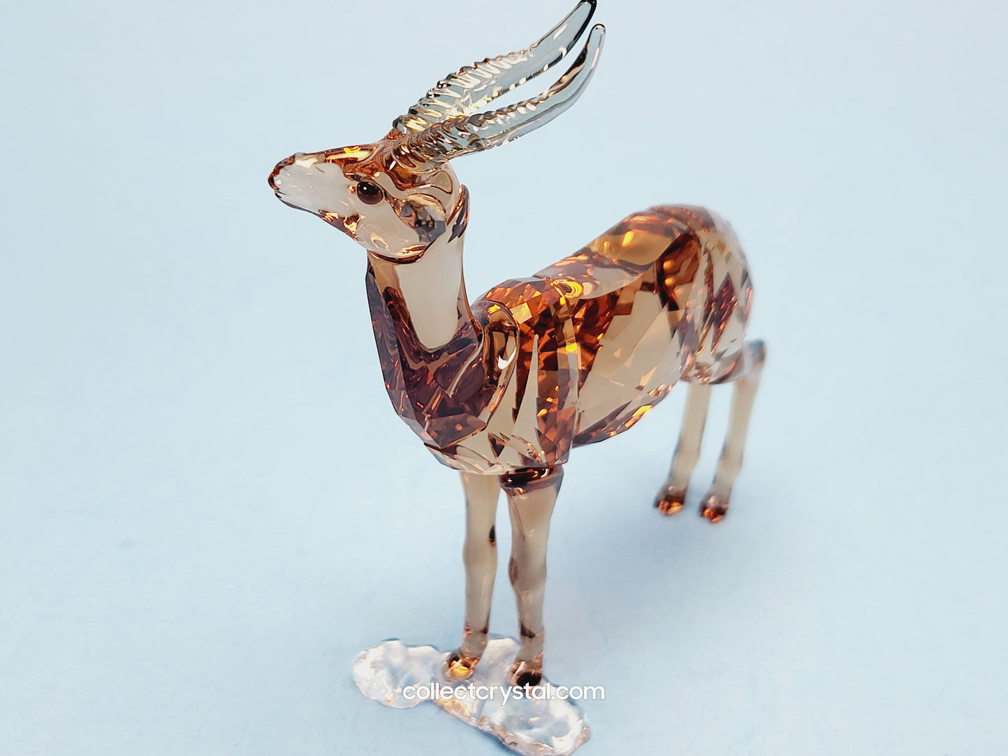 GAZELLE 5301551