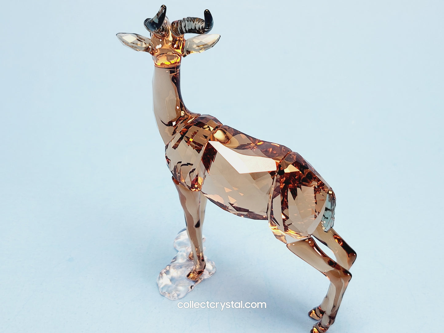 GAZELLE 5301551