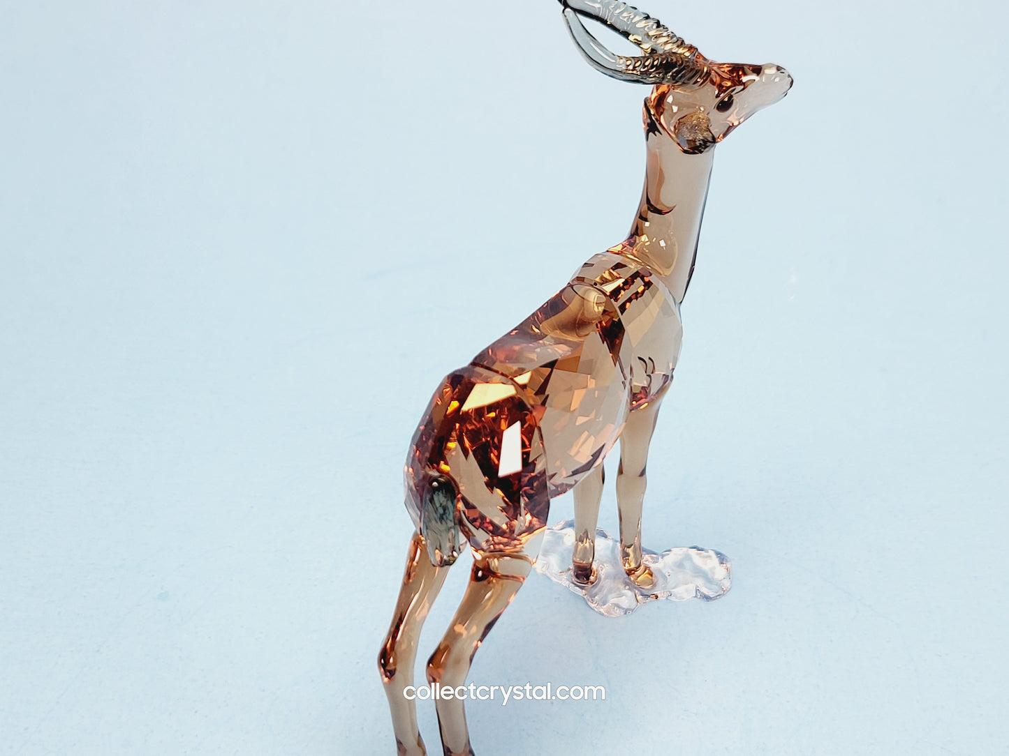 GAZELLE 5301551