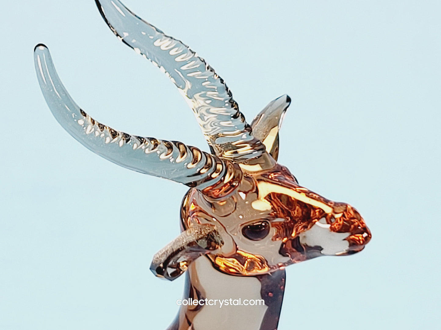 GAZELLE 5301551