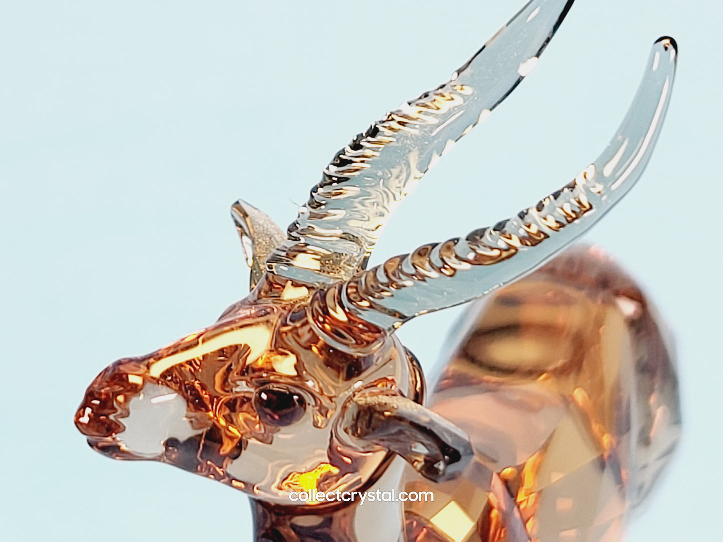 GAZELLE 5301551