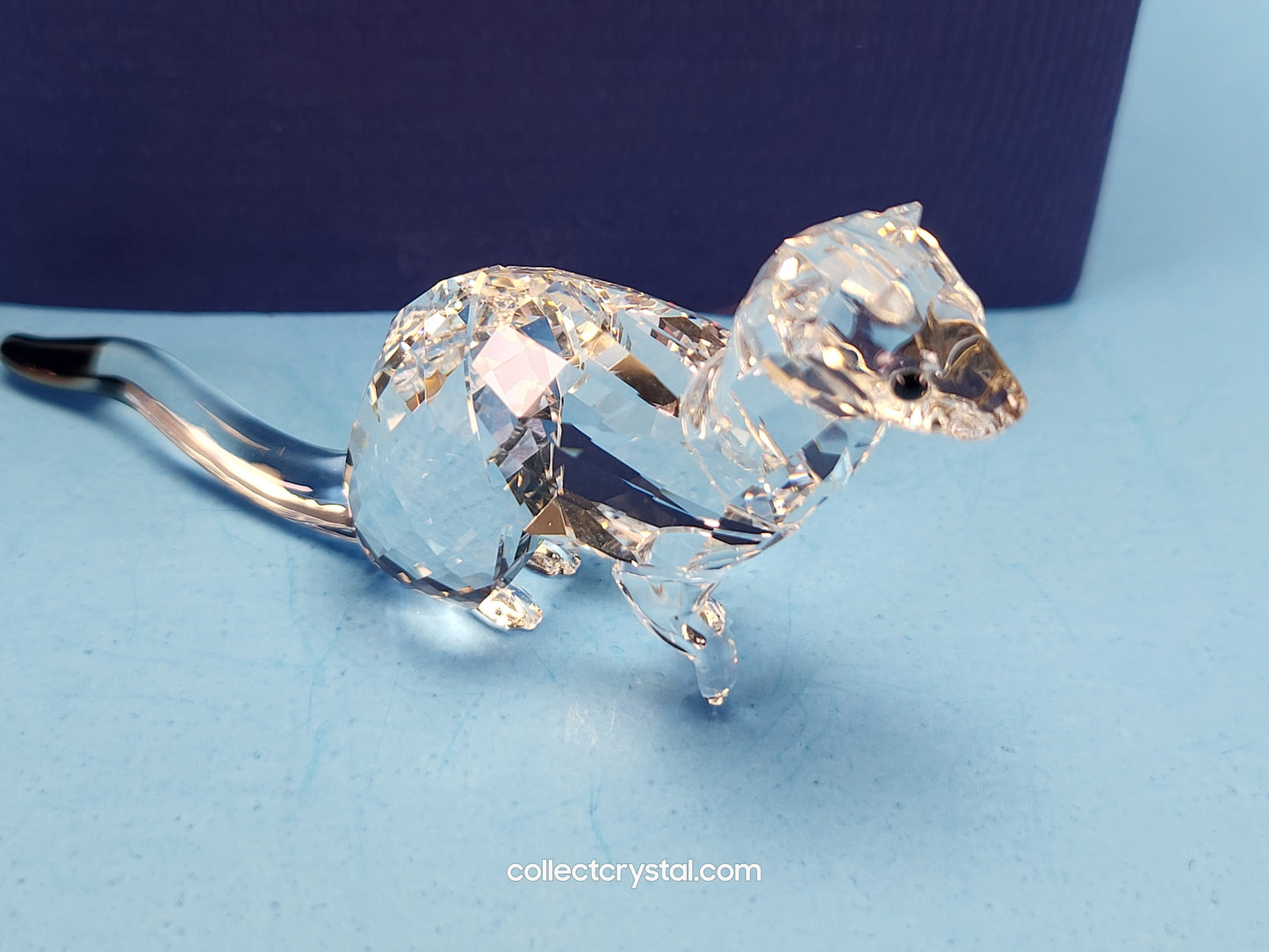 SCS ERMINE Mink weasel Event Exclusive 2019 # 5464546