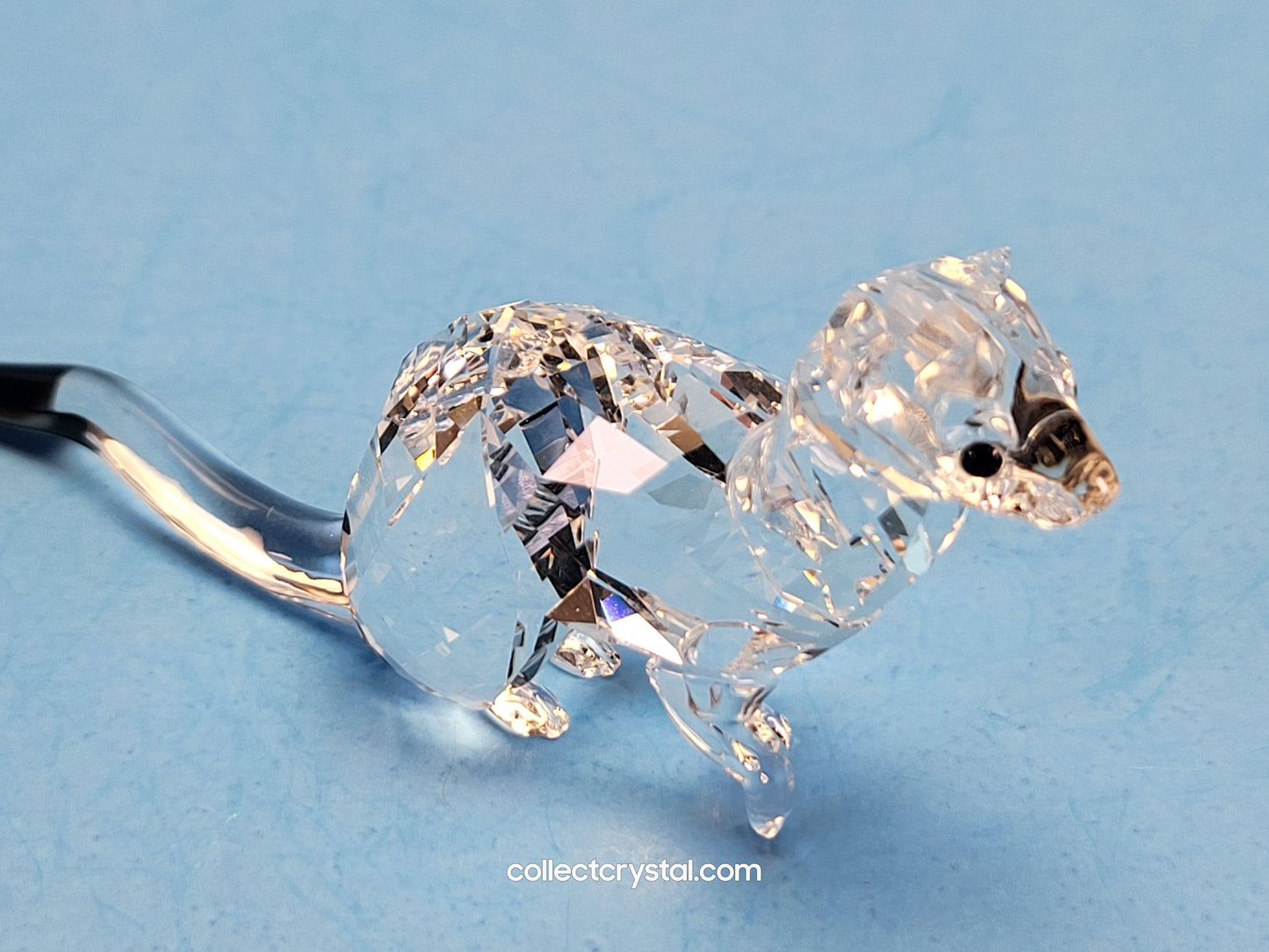 SCS ERMINE Mink weasel Event Exclusive 2019 # 5464546