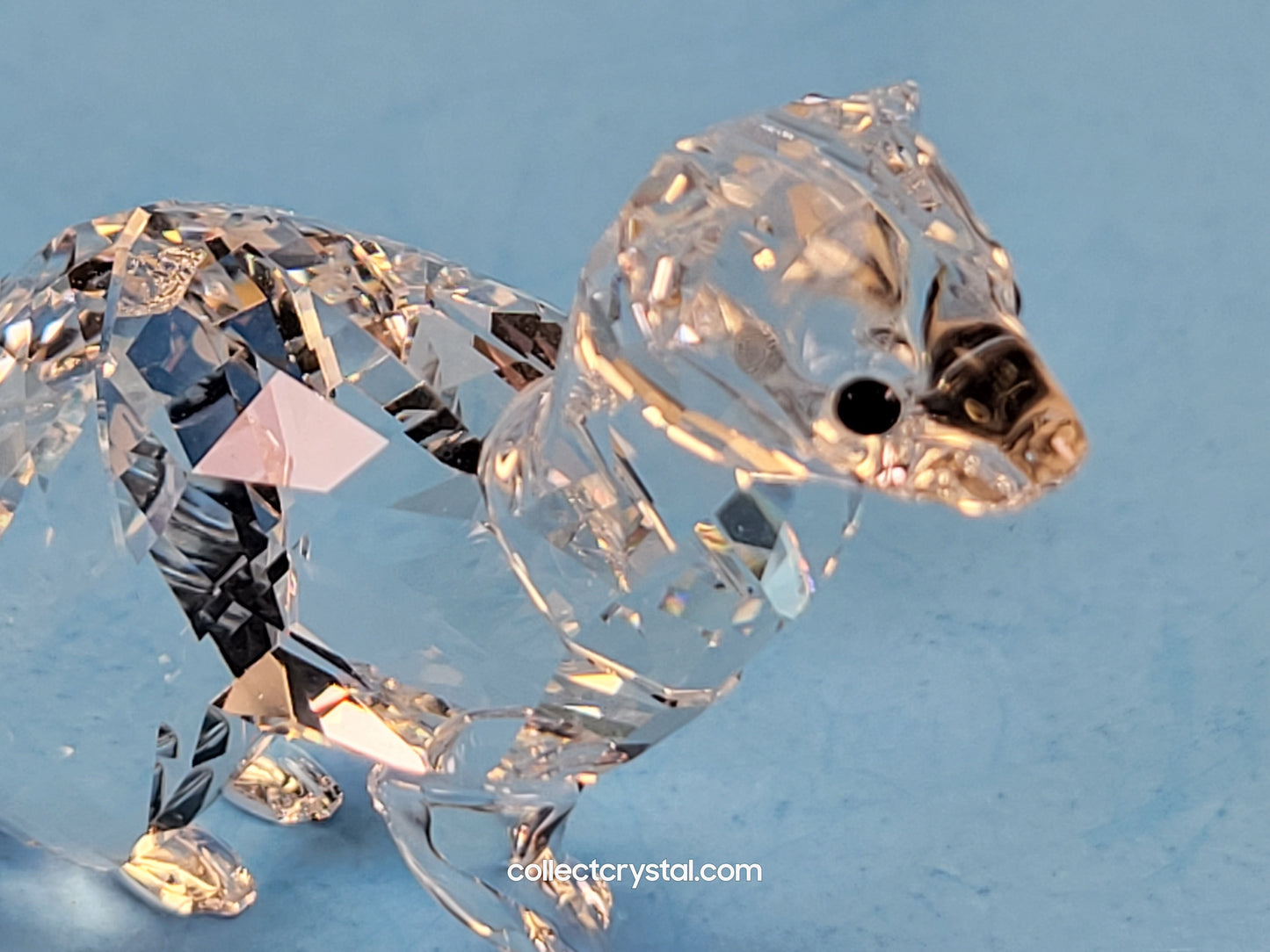 SCS ERMINE Mink weasel Event Exclusive 2019 # 5464546