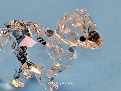 SCS ERMINE Mink weasel Event Exclusive 2019 # 5464546