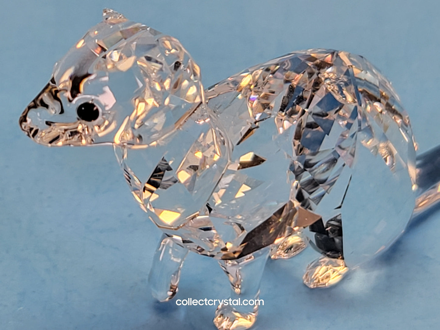 SCS ERMINE Mink weasel Event Exclusive 2019 # 5464546