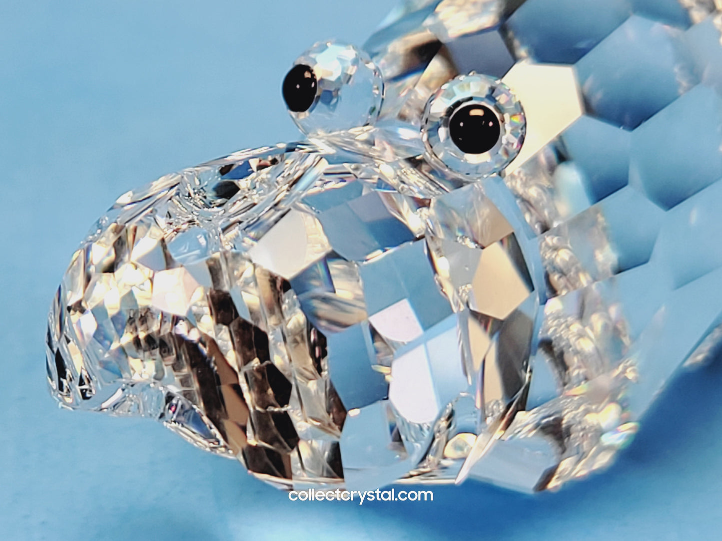 Large Hippopotamus (Hippo) - item 015187 / 7626065000