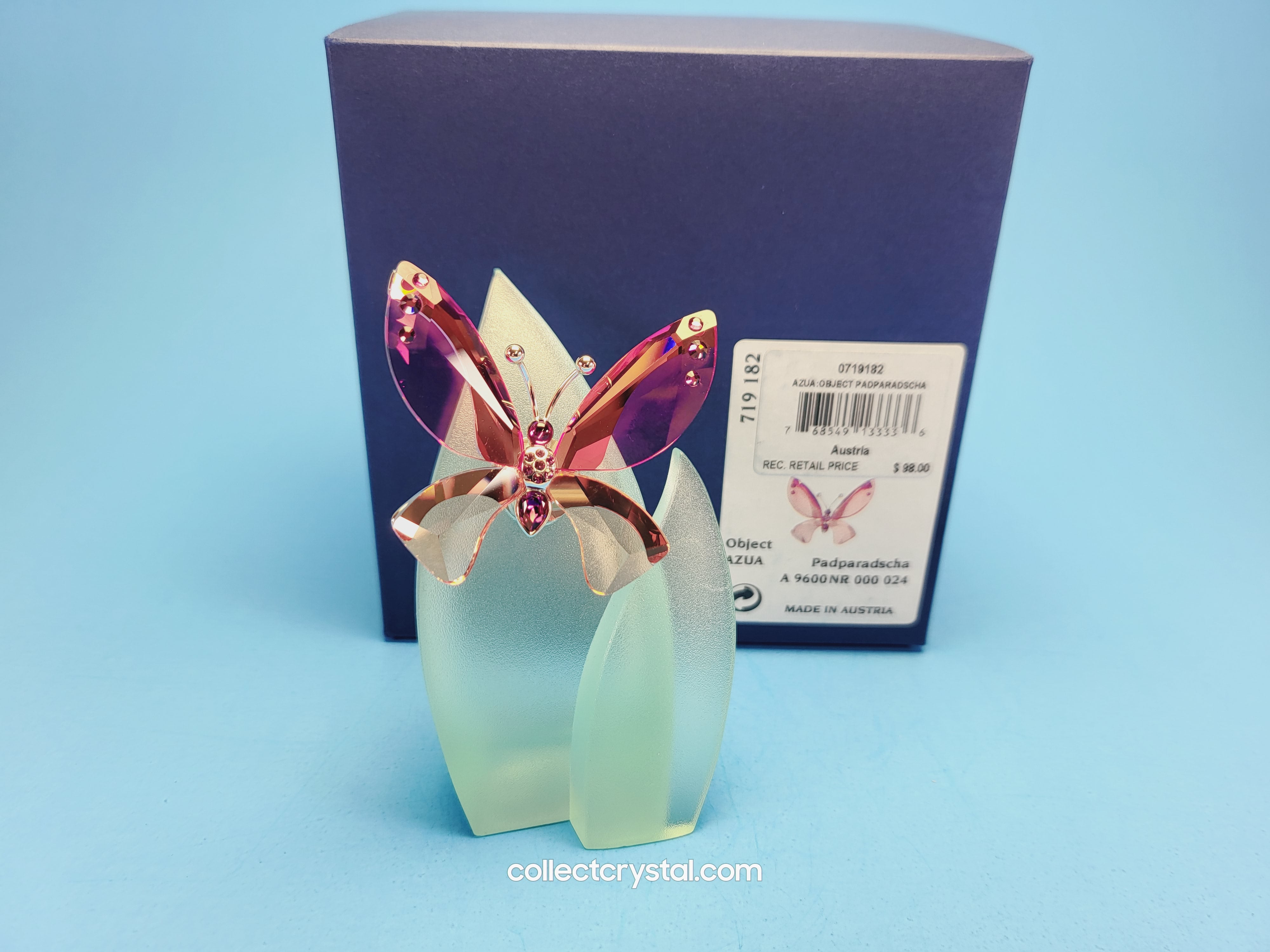 Paradise BUTTERFLY AZUA with leaf # 719182 PADPARDSCHA – Collect