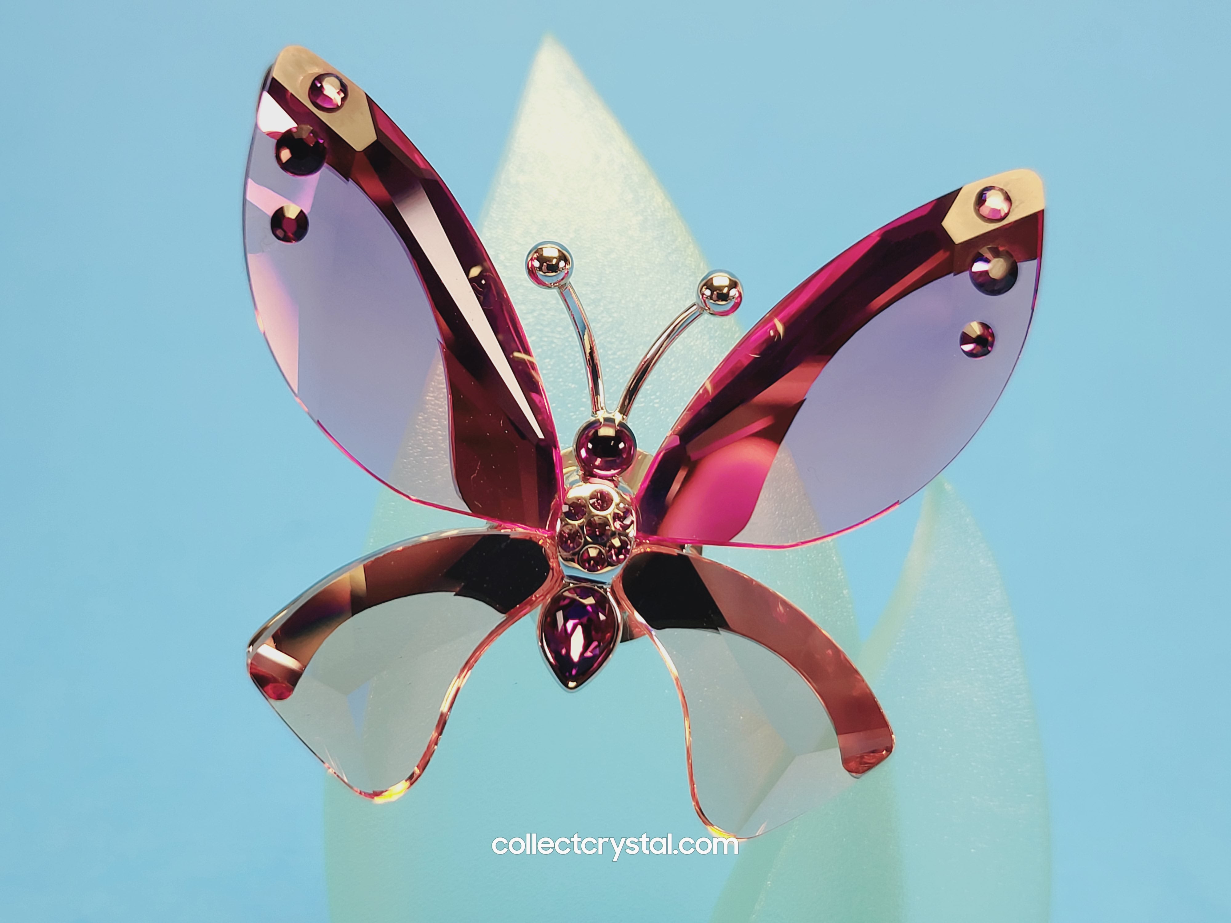 Paradise BUTTERFLY AZUA with leaf # 719182 PADPARDSCHA – Collect