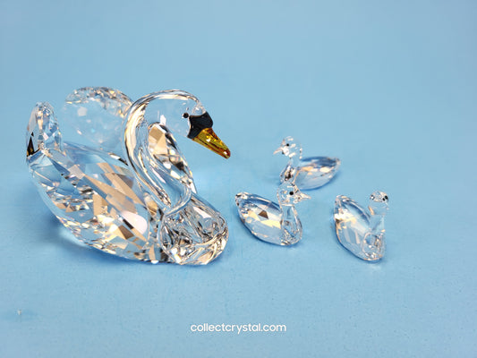 2017 JUBILEE SWANS 5233542