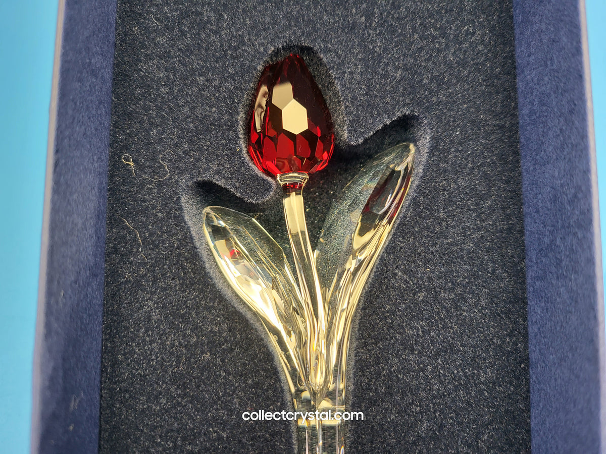 Flowers Renewal Gift Red, Blue, Yellow, + 9 Mini Tulips & Display Mib