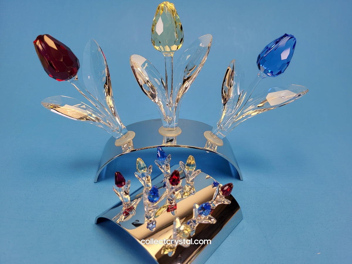 Flowers Renewal Gift Red, Blue, Yellow, + 9 Mini Tulips & Display Mib