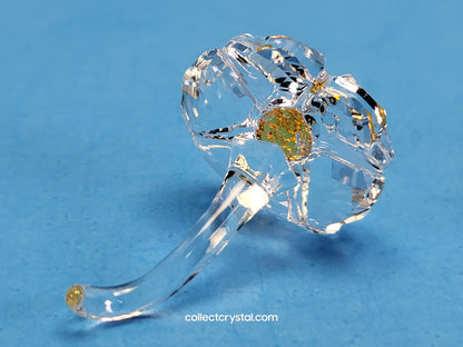 SCS JOINING/RENEWAL GIFT – WILD FLOWER 5244642