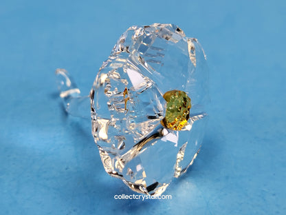 SCS JOINING/RENEWAL GIFT – WILD FLOWER 5244642