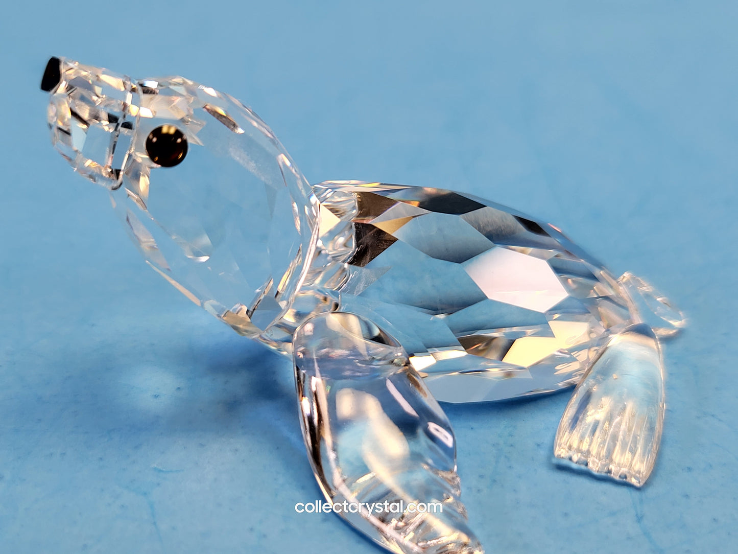 SEA LION / SEALION BABY 221120