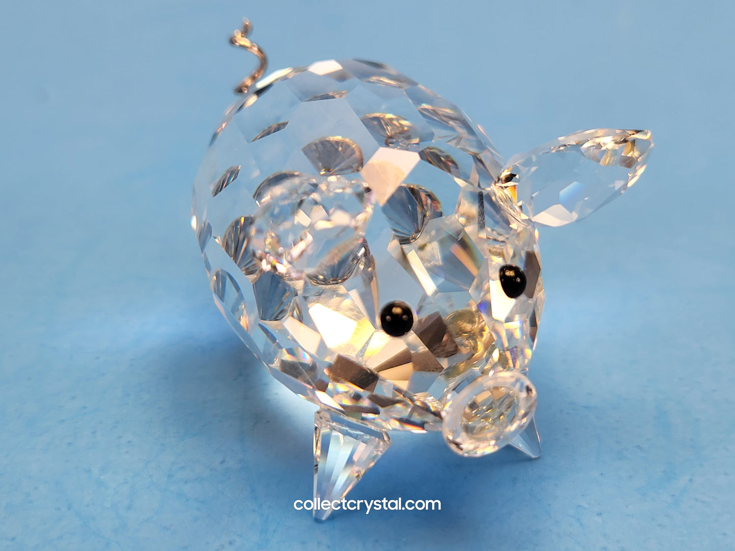 PIG MEDIUM V2 METAL TAIL 010031 MIB Complete