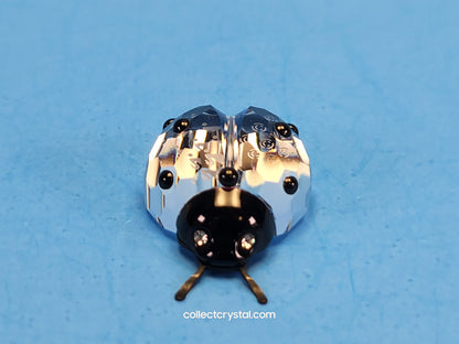 LADYBIRD / LADYBUG 190858