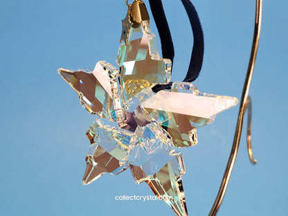 2021 CHRISTMAS ORNAMENT 30TH ANNIVERSARY 5596079