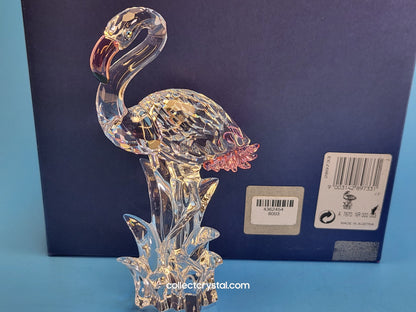 FLAMINGO BIRD # 289733