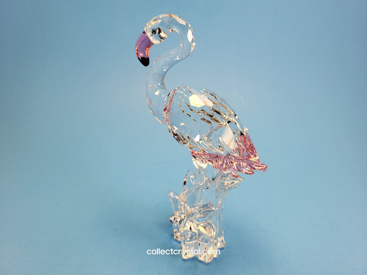 FLAMINGO BIRD # 289733