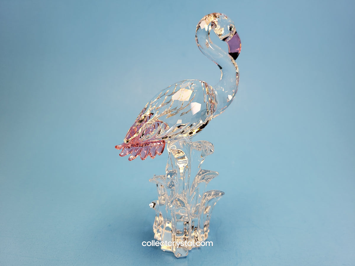 FLAMINGO BIRD # 289733