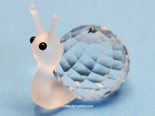 SNAIL (original) 012725