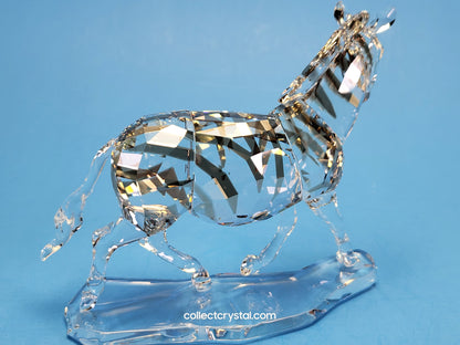 Zebra 1050853 Rare Encounters