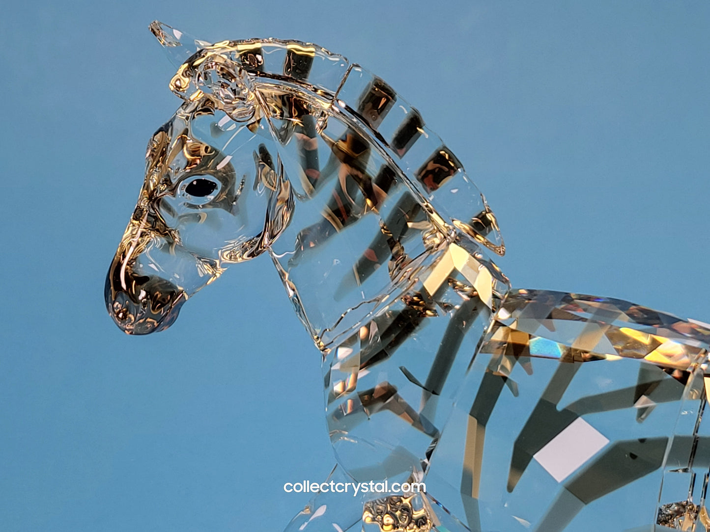 Zebra 1050853 Rare Encounters