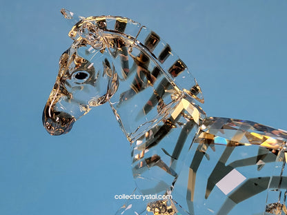 Zebra 1050853 Rare Encounters