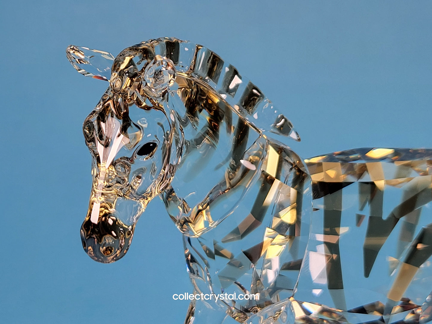 Zebra 1050853 Rare Encounters