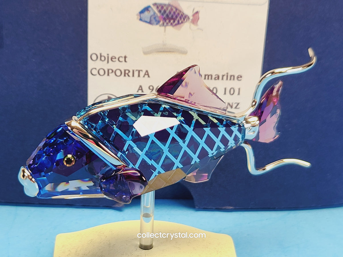 Crotone Fish PARADISE FISH AND SOUTH SEA CROTONE FIRE OPAL 626202