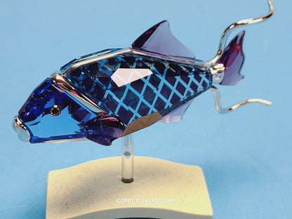 Crotone Fish PARADISE FISH AND SOUTH SEA CROTONE FIRE OPAL 626202