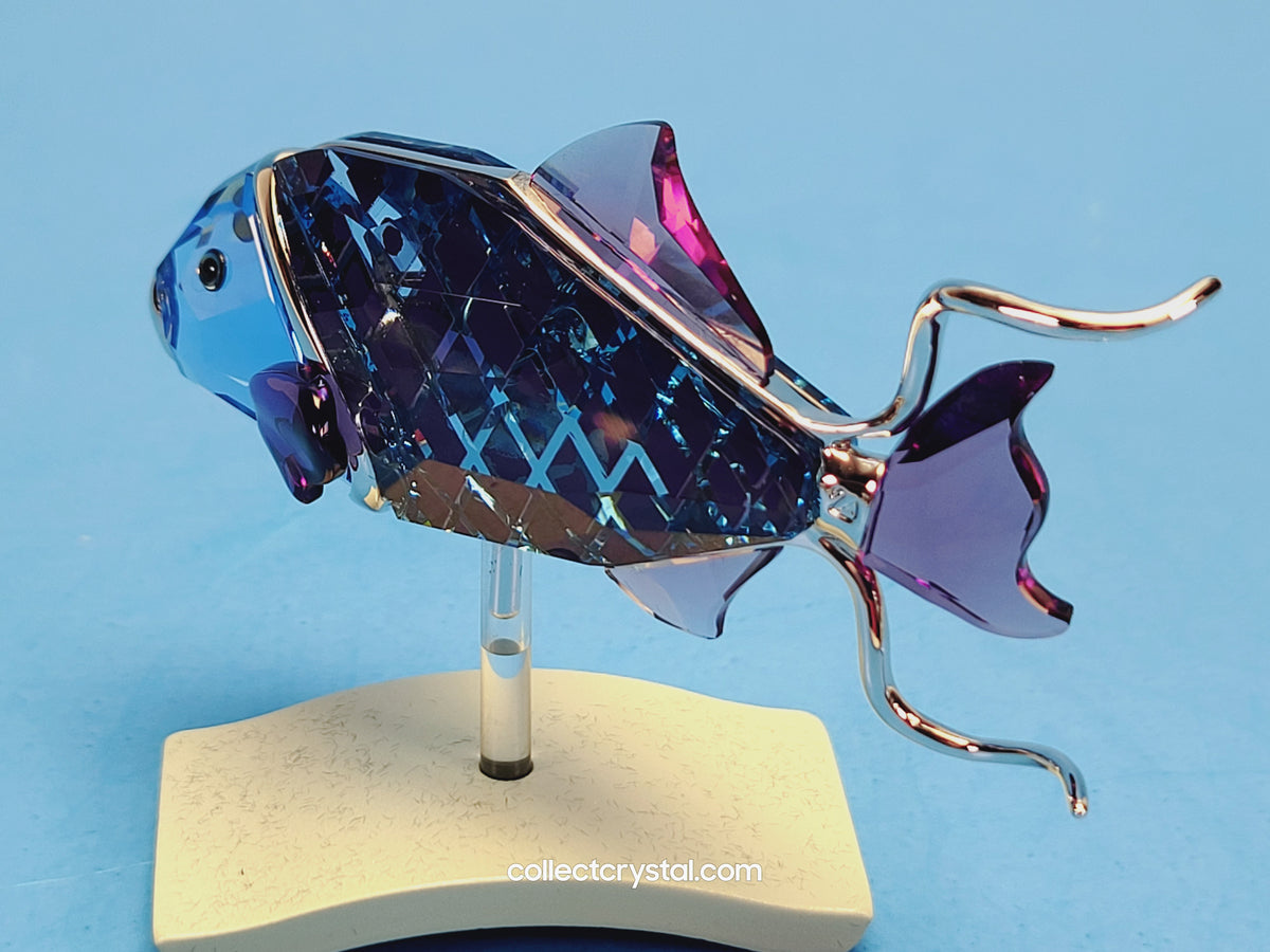 Crotone Fish PARADISE FISH AND SOUTH SEA CROTONE FIRE OPAL 626202