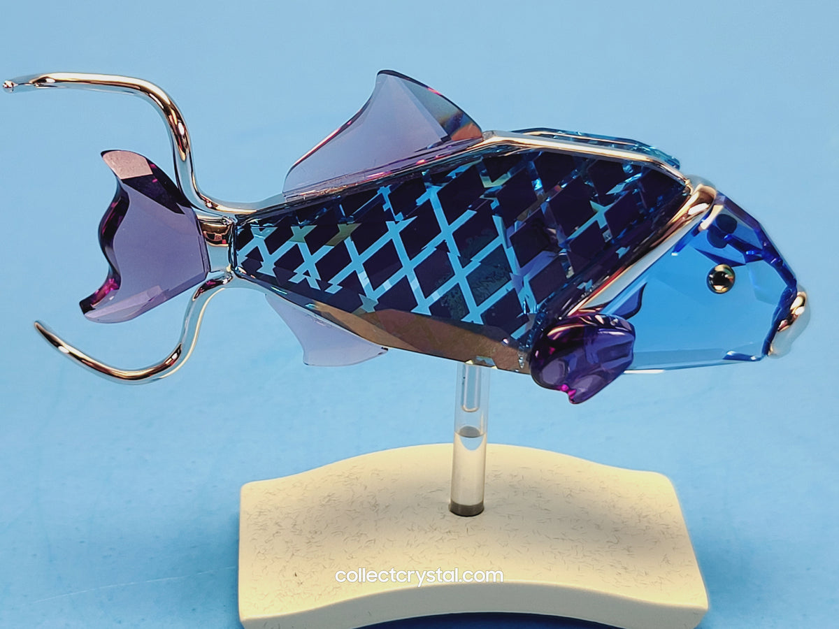 Crotone Fish PARADISE FISH AND SOUTH SEA CROTONE FIRE OPAL 626202
