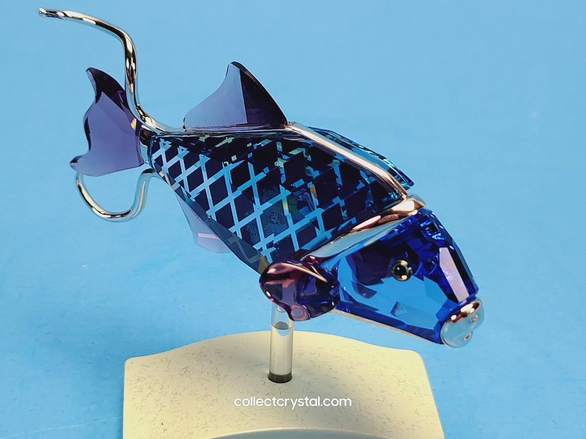 Crotone Fish PARADISE FISH AND SOUTH SEA CROTONE FIRE OPAL 626202