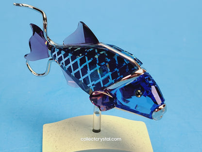 Crotone Fish PARADISE FISH AND SOUTH SEA CROTONE FIRE OPAL 626202