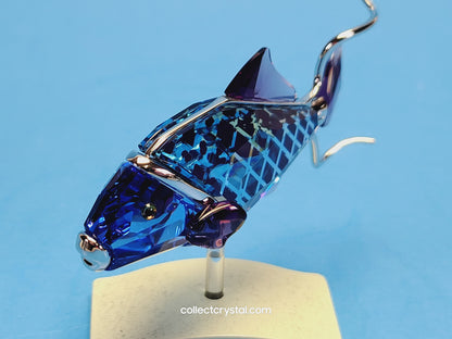 Crotone Fish PARADISE FISH AND SOUTH SEA CROTONE FIRE OPAL 626202