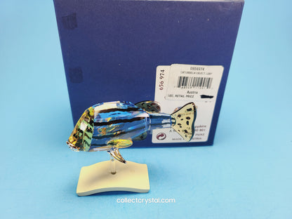PARADISE FISH AND SOUTH SEA – OBJECT CATUMBELA LIGHT SAPPHIRE 656974