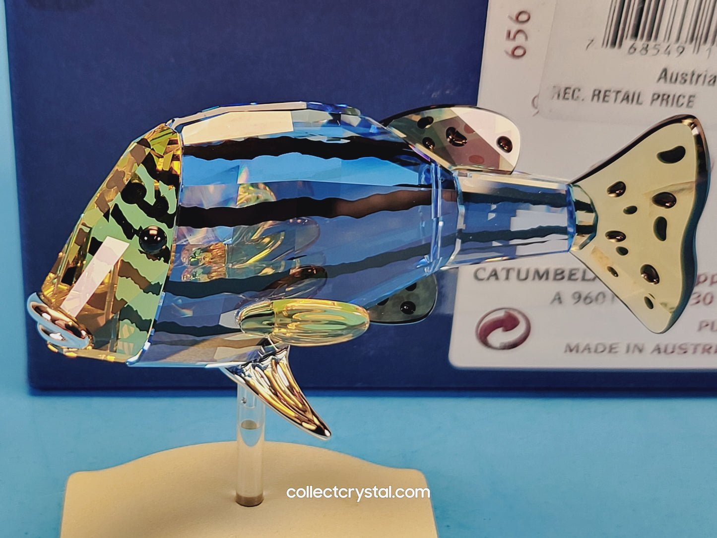 PARADISE FISH AND SOUTH SEA – OBJECT CATUMBELA LIGHT SAPPHIRE 656974