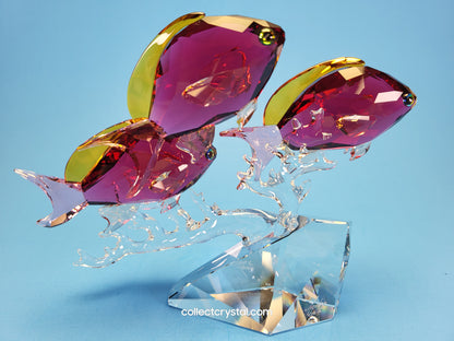 Anthias  PARADISE Fish Trio # 5428652  Figurine Signed by Designer