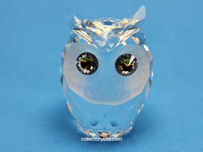 OWL LARGE 010022