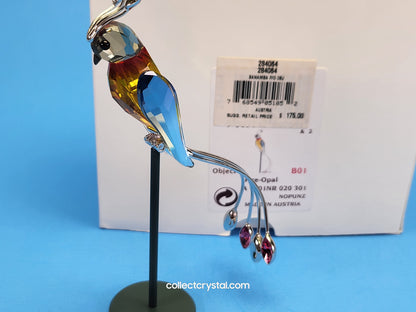 PARADISE BIRDS – OBJECT BANAMBA FIRE OPAL 284064 / 275570